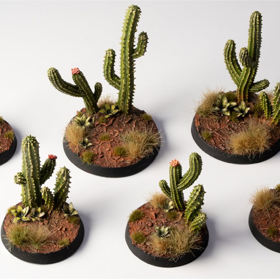 Basing Bits - Saguaro Cacti
