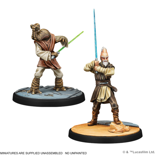 Star Wars: Shatterpoint - Wisdom of the Council