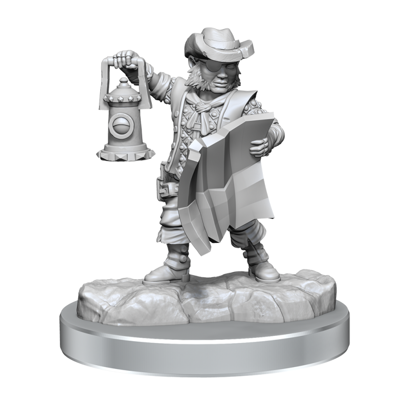 D&D Frameworks: Halfling Rogue Male