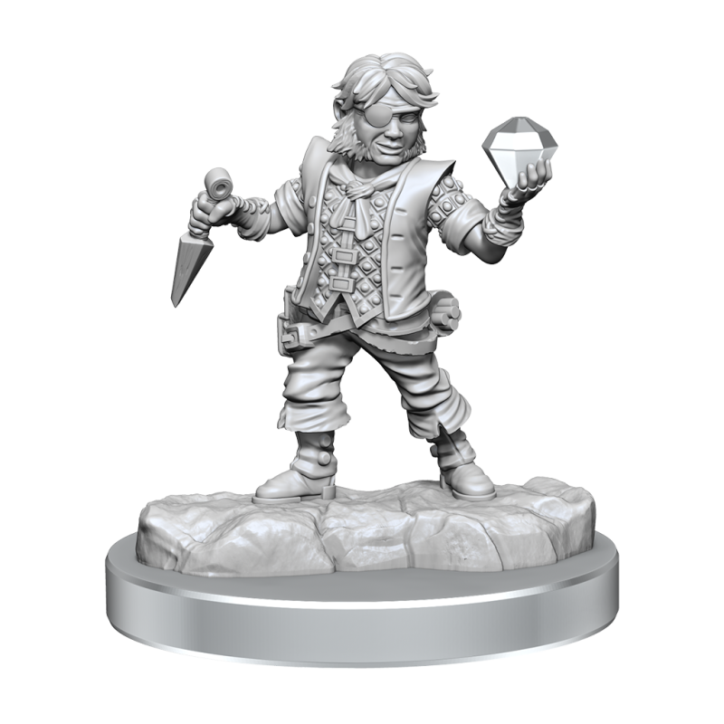 D&D Frameworks: Halfling Rogue Male