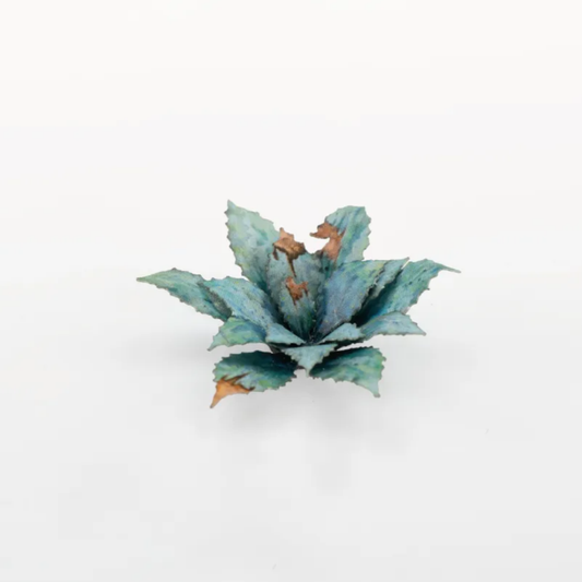 Laser Plants - Blue Agave