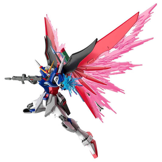 MG - 1/100 Destiny Gundam Special Edition