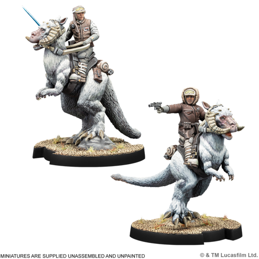 Han Solo & Luke Skywalker on Tauntaun