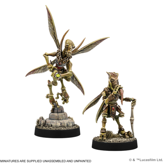 Sun Fac & Poggle the Lesser