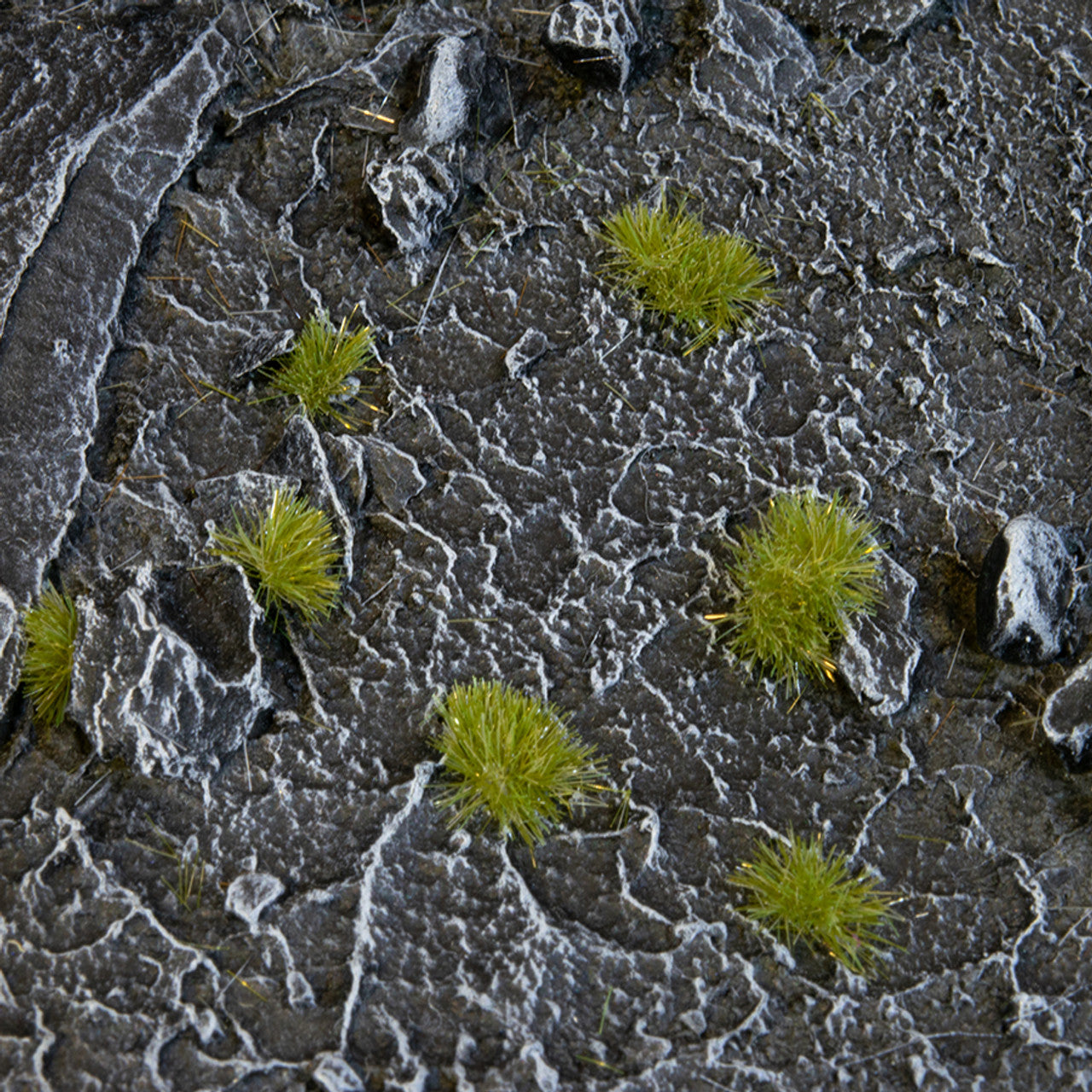 Tiny Tufts Dry Green