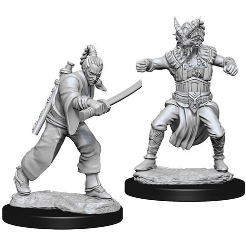 D&D Nolzur's Marvelous Miniatures - Male Human Monk