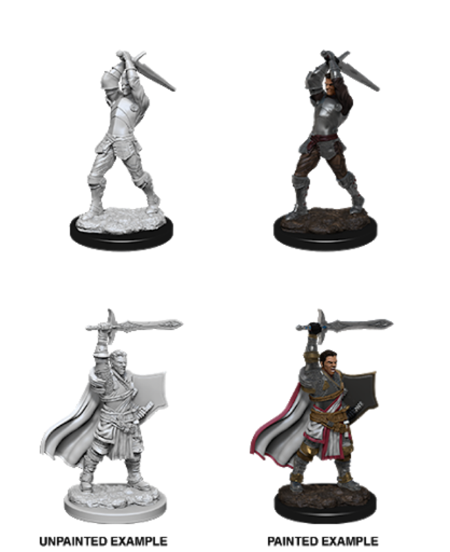 D&D Nolzur's Marvelous Miniatures - Male Human Paladin