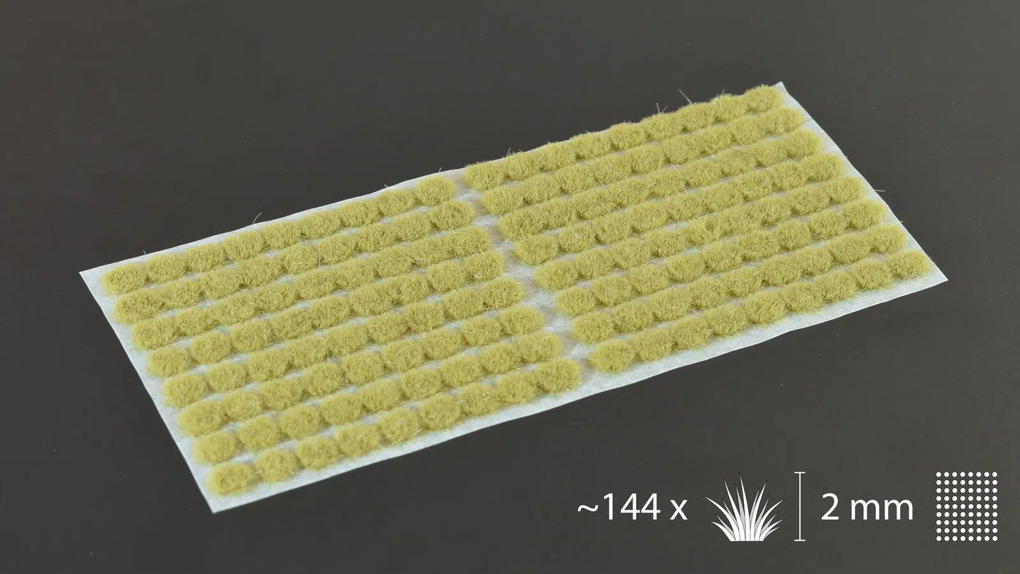 Beige 2mm-Small