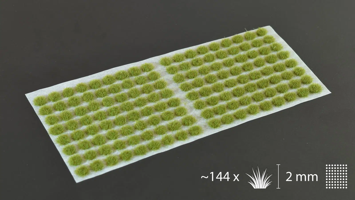Dry Green 2mm-Small