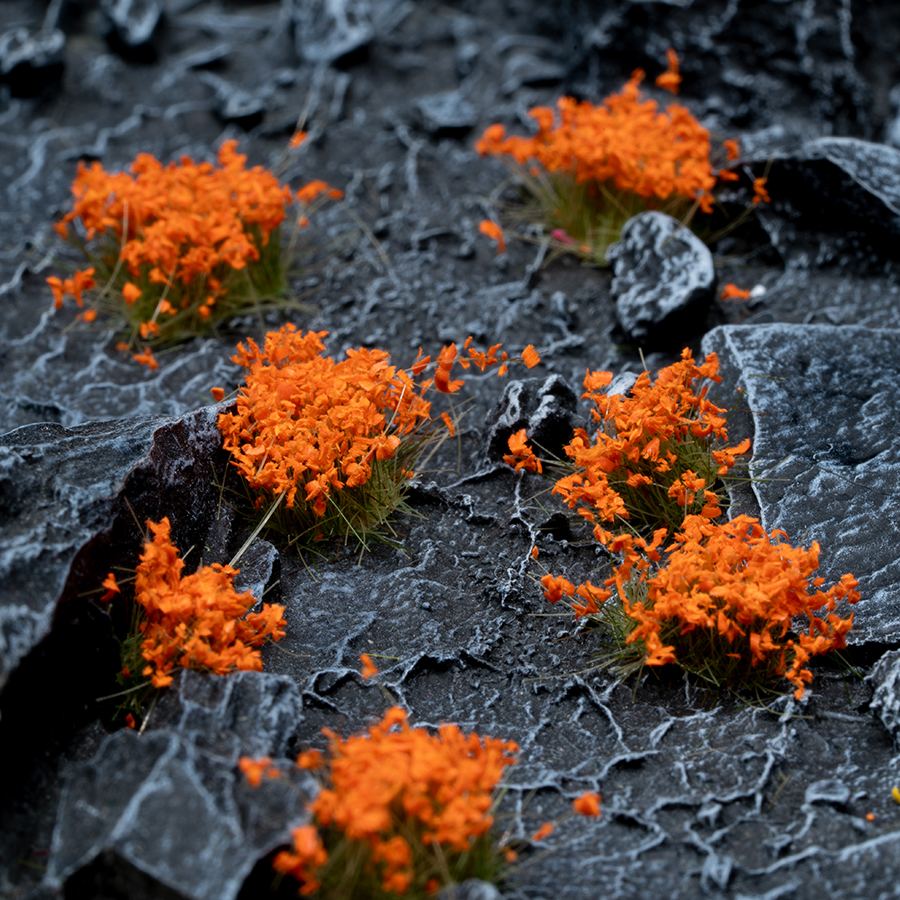 Orange Flowers-Wild