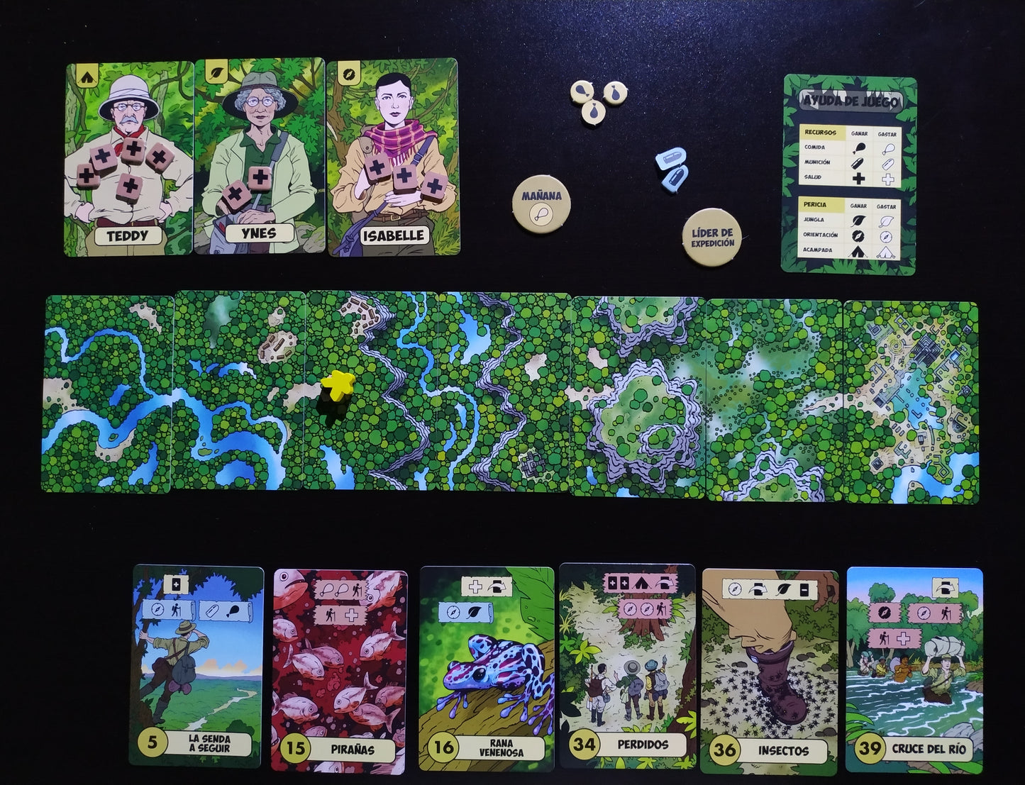 La expedición pérdida