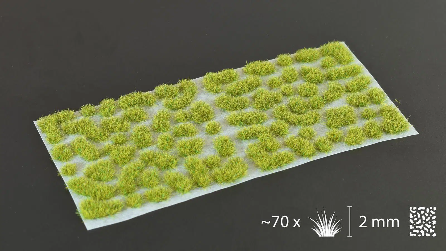 Moss 2mm-Wild