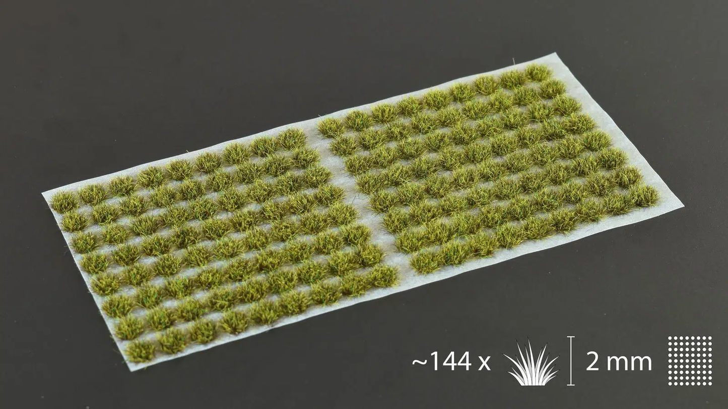 Dark Moss 2mm-Small