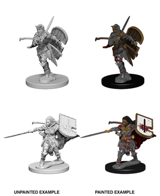 Pathfinder Deep Cuts Unpainted Miniatures - Human Female Paladin