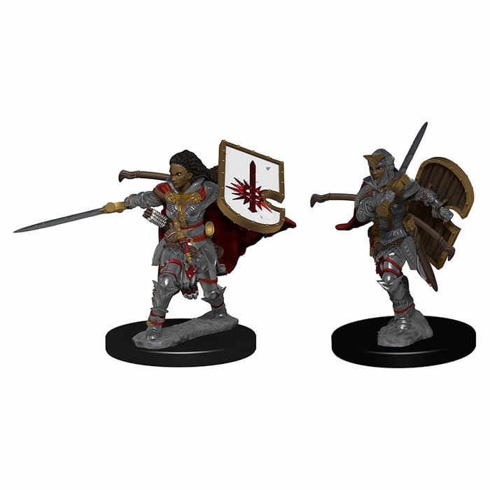 Pathfinder Deep Cuts Unpainted Miniatures - Human Female Paladin