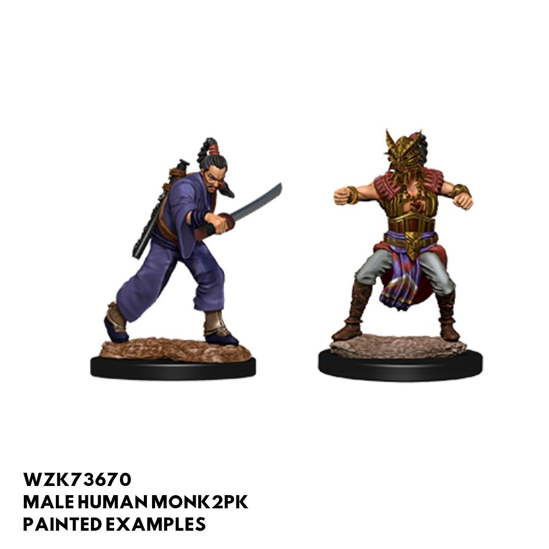D&D Nolzur's Marvelous Miniatures - Male Human Monk