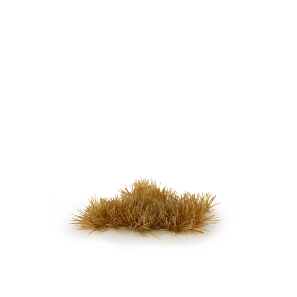 Copper Brown 2mm
