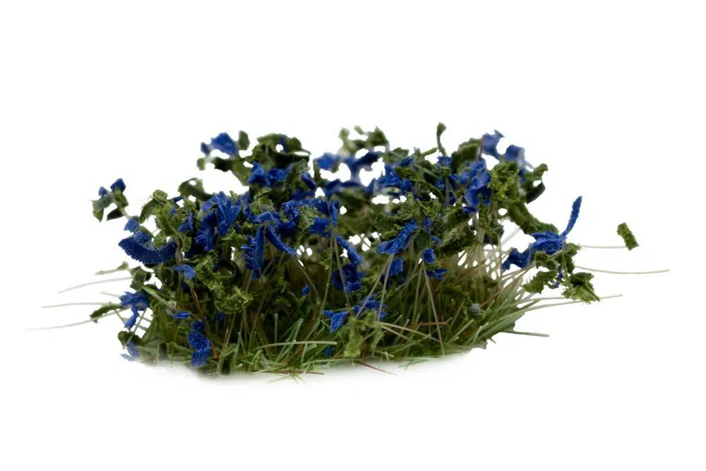 Blue Flowers-Wild