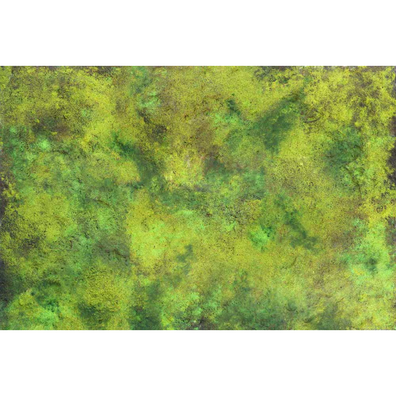 Grass Plain 6x4 Gaming Mat 2.0