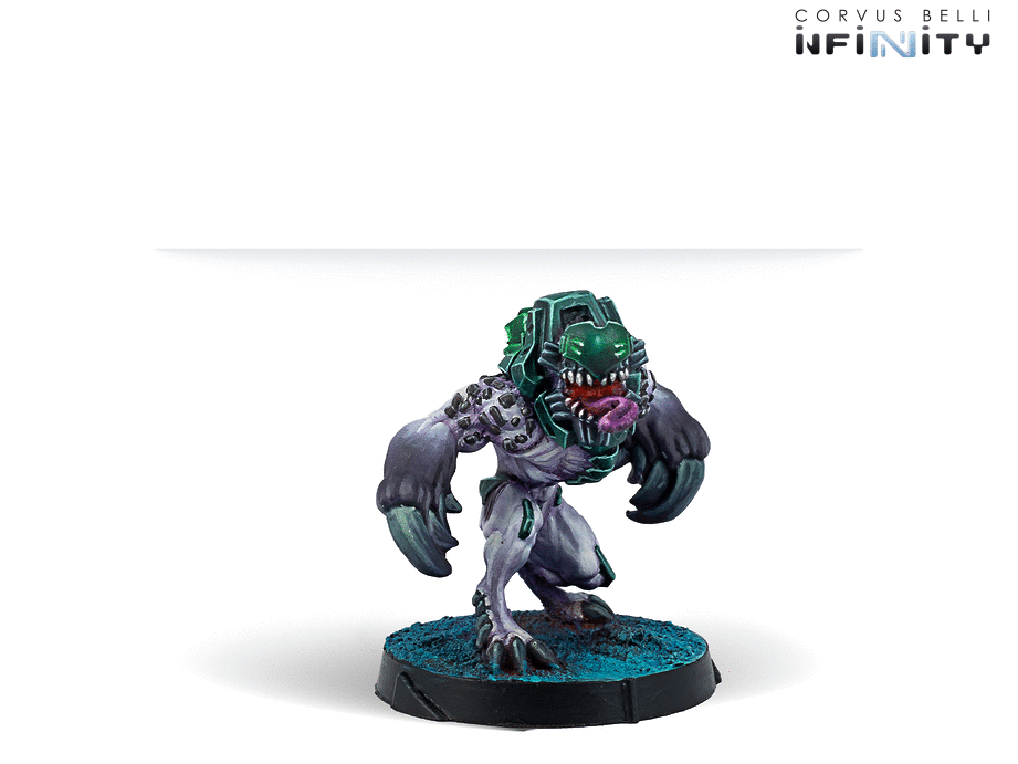 Jayth Cutthroats, Shasvastii Independent Assault Group