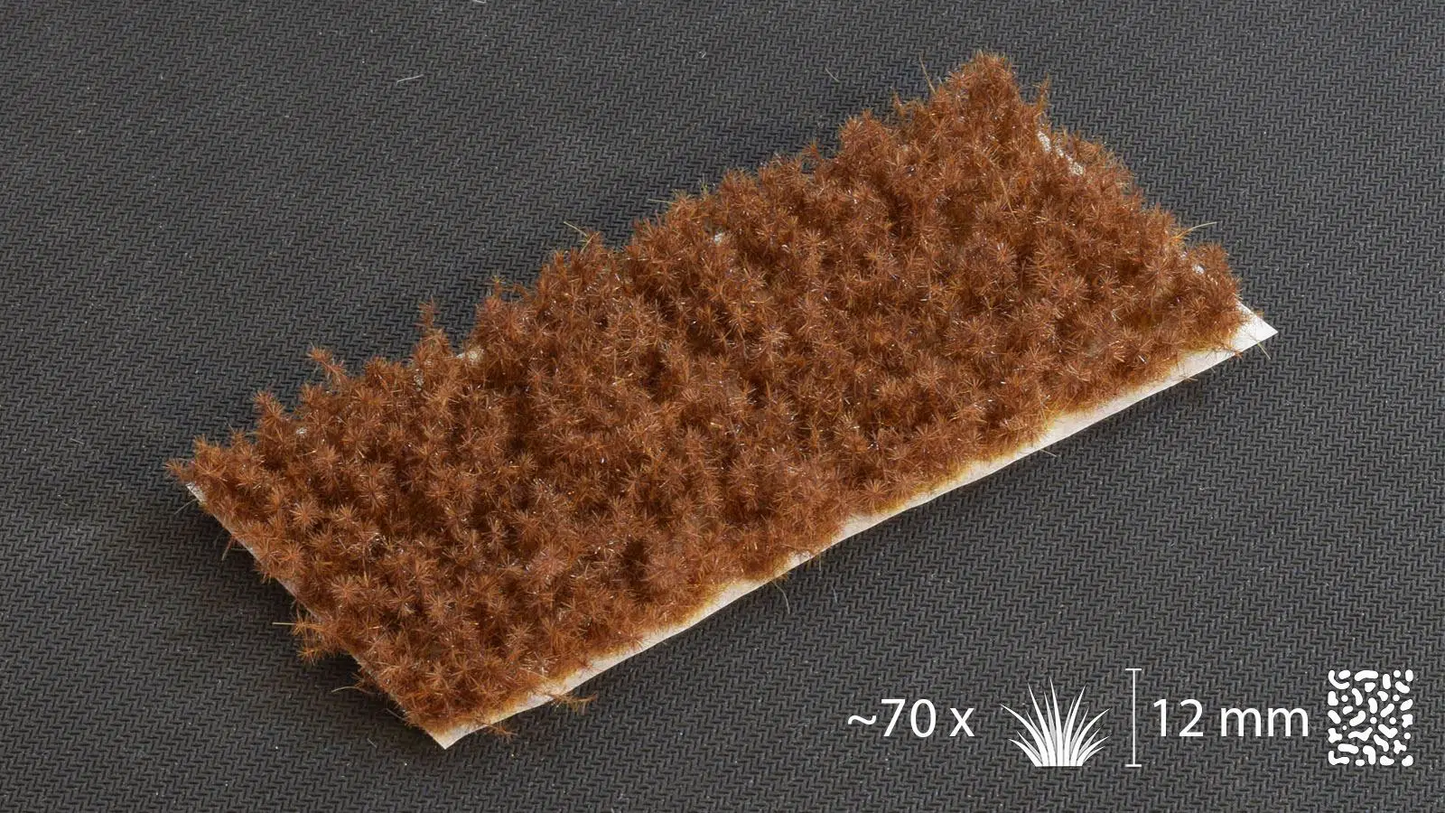 Spikey Brown-Wild