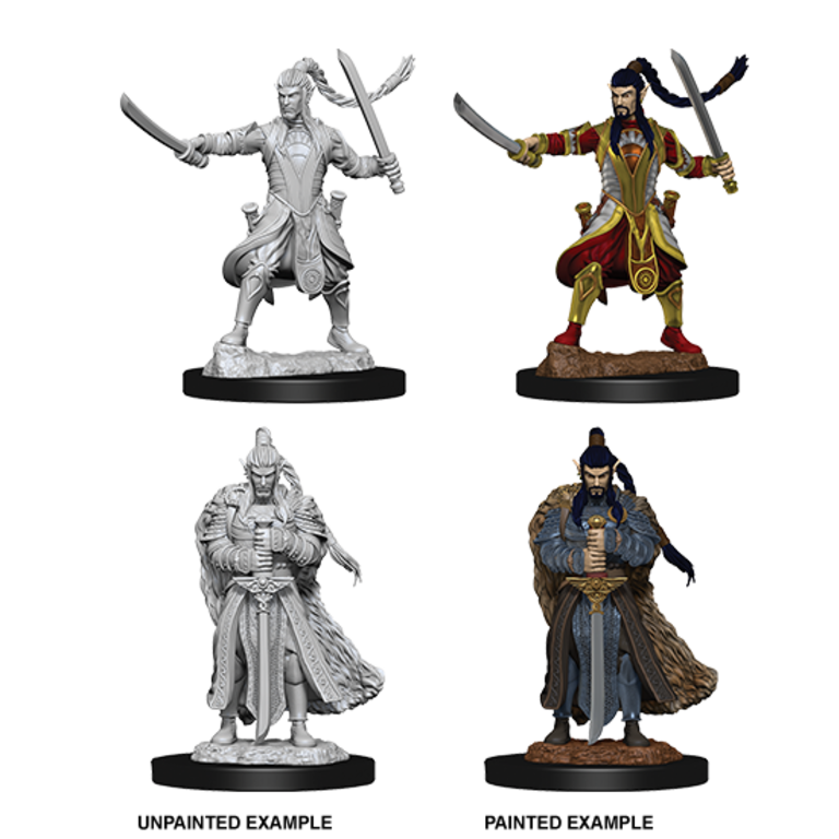 D&D Nolzur's Marvelous Miniatures - Male Elf Paladin
