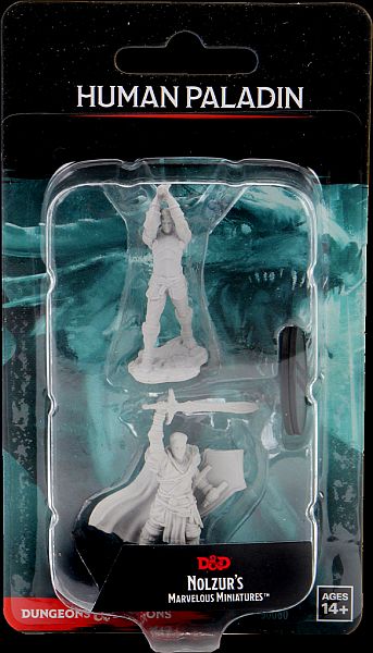 D&D Nolzur's Marvelous Miniatures - Male Human Paladin