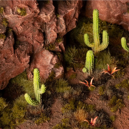 Basing Bits - Saguaro Cacti