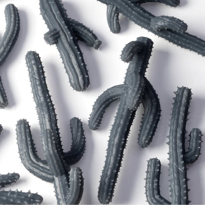 Basing Bits - Saguaro Cacti