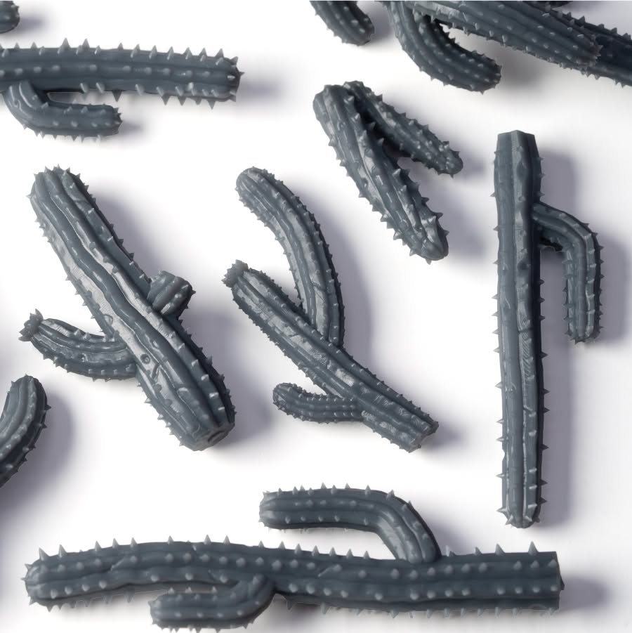 Basing Bits - Saguaro Cacti