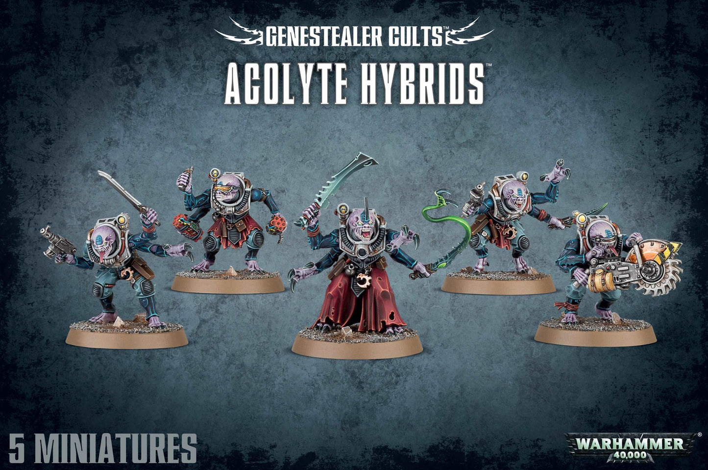 Acolyte Hybrids