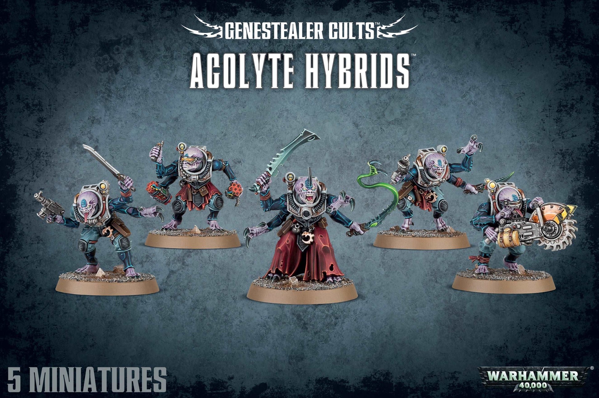 Acolyte Hybrids