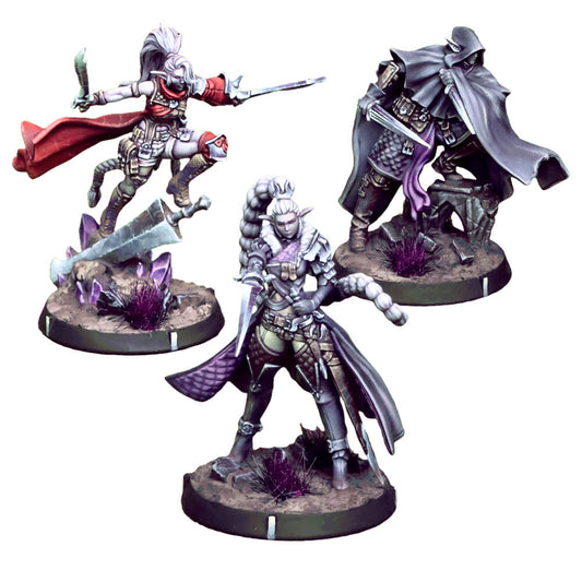 Eldfall Chronicles: Reinforcements Pack: Queen's Blade