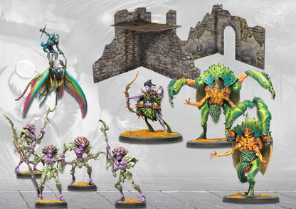 Weaver Courts: Conquest First Blood Reinforcement Set