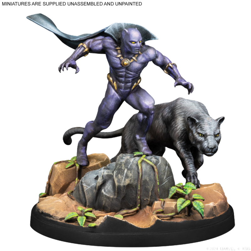 Crisis Protocol - Black Panther & Namor