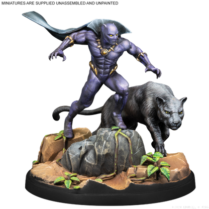 Crisis Protocol - Black Panther & Namor