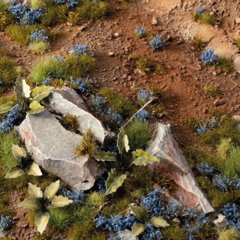 Cornflower Tiny Flowers