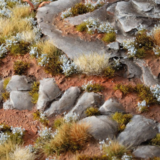 Forget-Me-Not Tiny Flowers