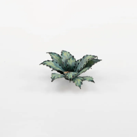 Laser Plants - Blue Agave