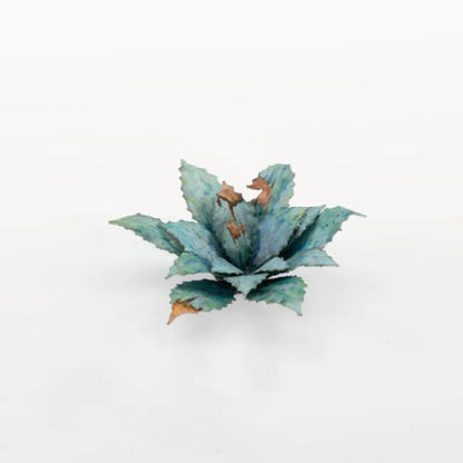 Laser Plants - Blue Agave