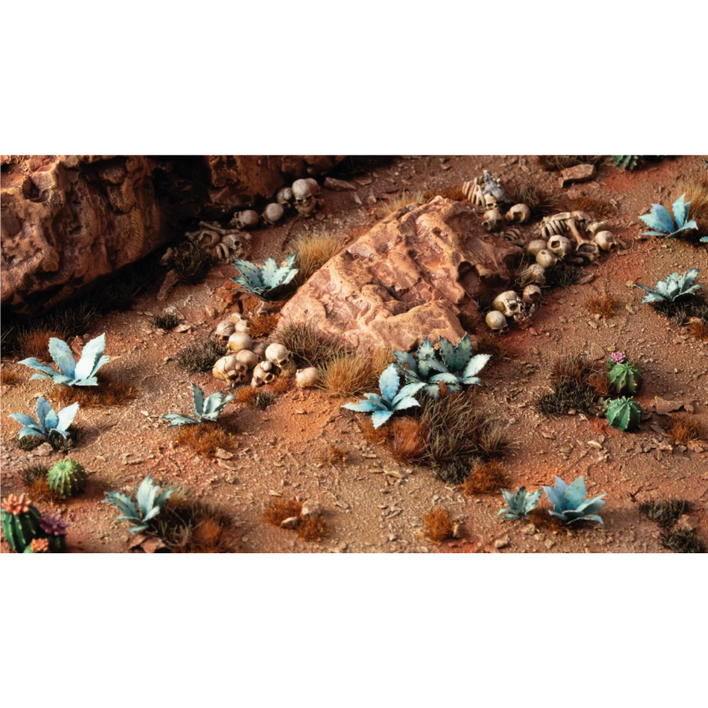 Laser Plants - Blue Agave