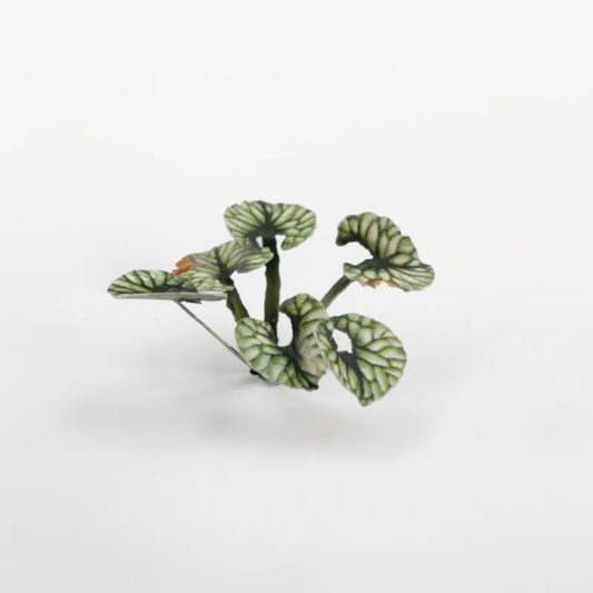 Laser Plants - Bugloss