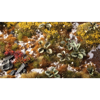 Laser Plants - Bugloss