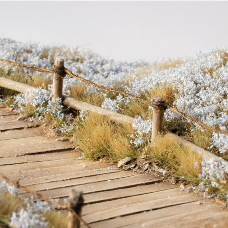 Light Blue Lilac Flowers
