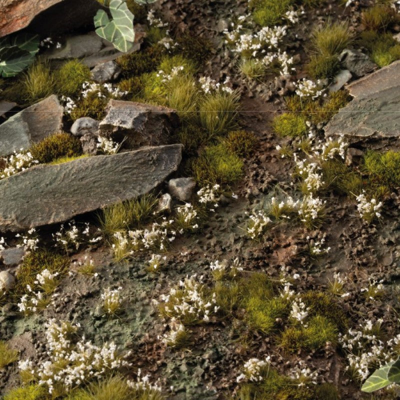 White Lily Tiny Flowers
