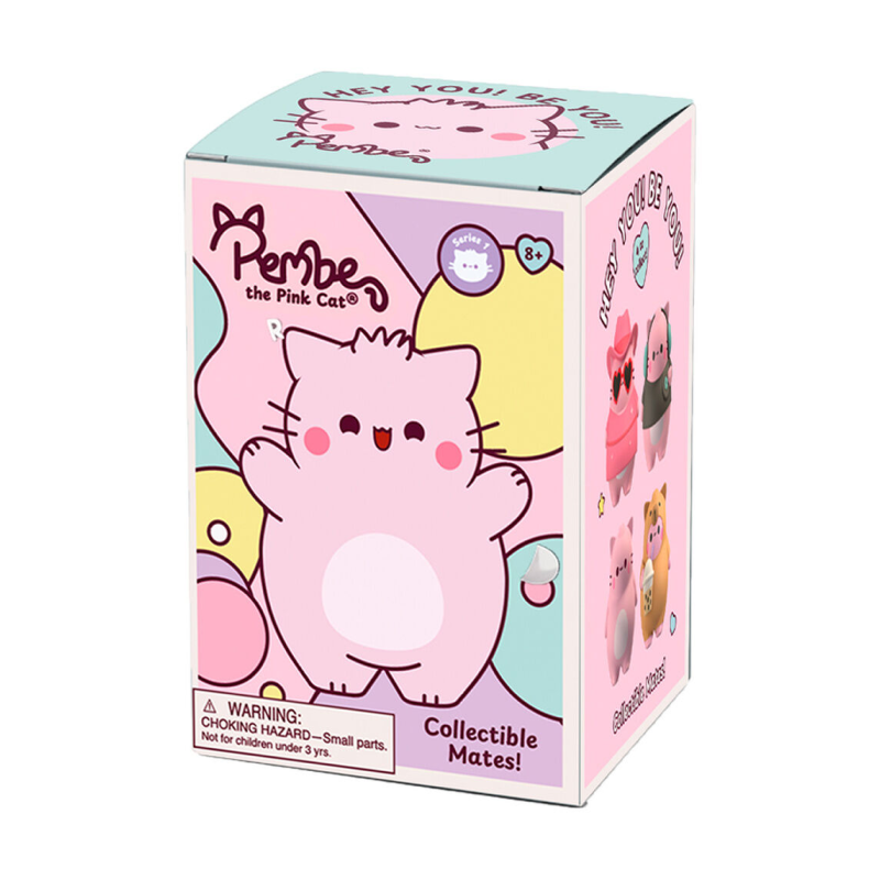 Pembe the Pink Cat - Caja Sopresa Foam Mates