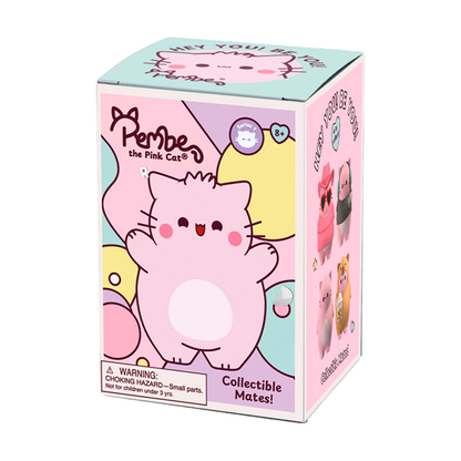 Pembe the Pink Cat - Caja Sopresa Foam Mates