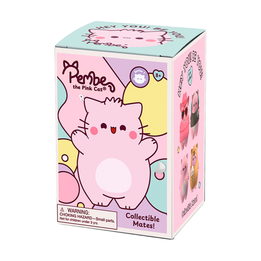 Pembe the Pink Cat - Caja Sopresa Foam Mates