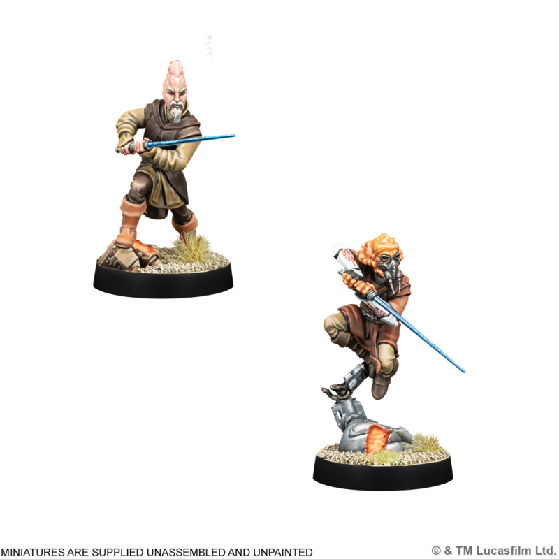 [PREPEDIDO] Jedi Council