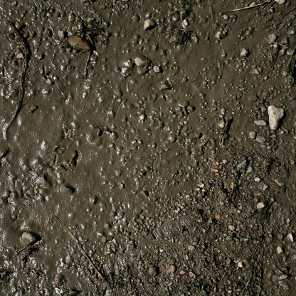 Terrains: Wet Ground - 250ml (Acrylic)